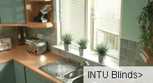 INTU window blinds